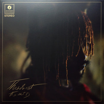 It Is What It Is - Thundercat