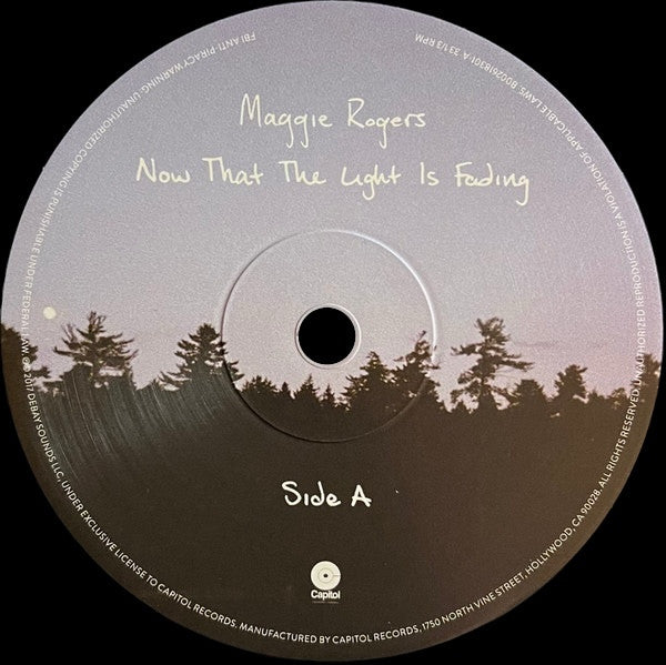 Now That The Light Is Fading - Rogers, Maggie