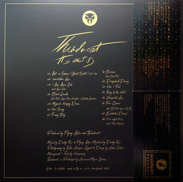 It Is What It Is - Thundercat