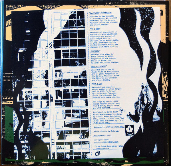 In/Out/In - Sonic Youth