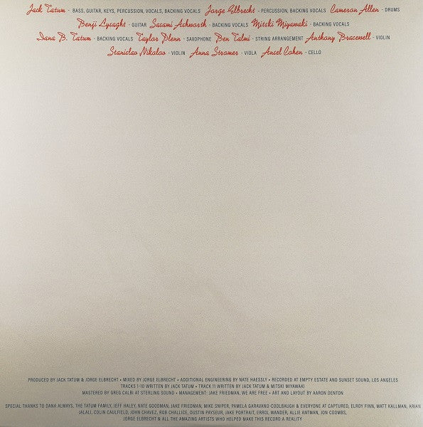 Indigo [LP] - Wild Nothing