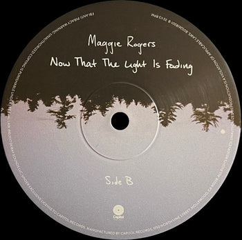 Now That The Light Is Fading - Rogers, Maggie