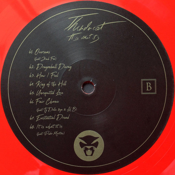 It Is What It Is - Thundercat