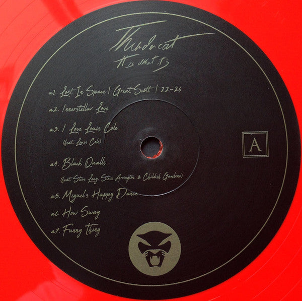 It Is What It Is - Thundercat