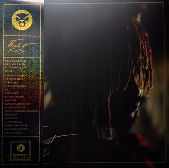 It Is What It Is - Thundercat