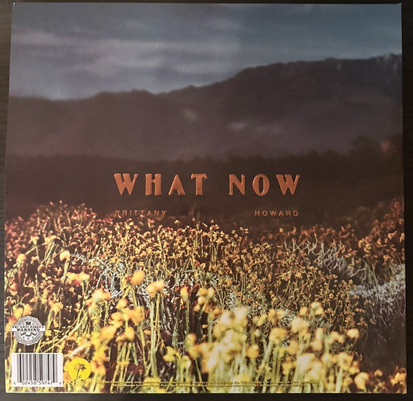 What Now - Howard, Brittany
