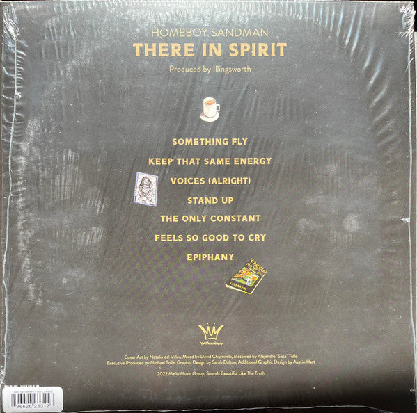 There In Spirit - Homeboy Sandman