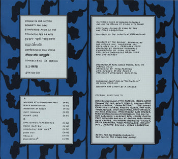 Sympathy For Life - Parquet Courts