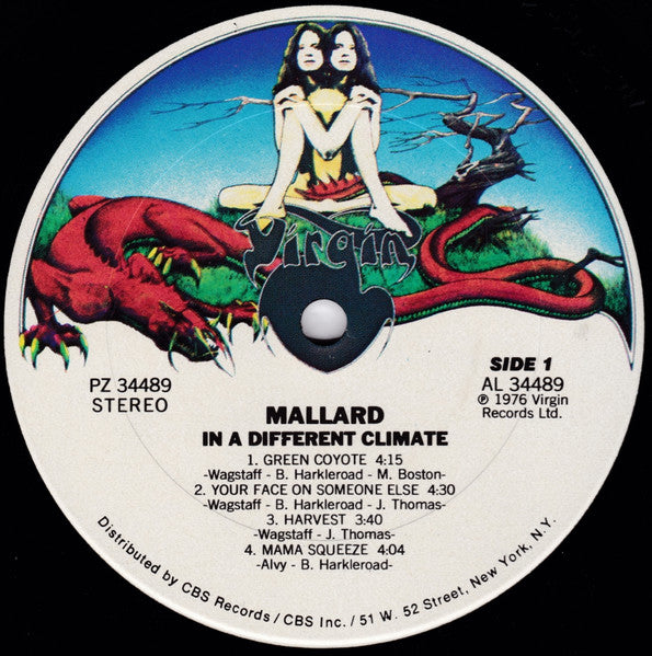 In A Different Climate - Mallard