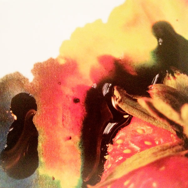 Strawberry Jam - Animal Collective