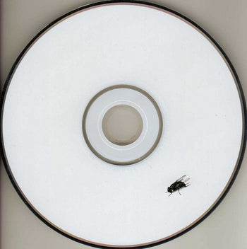 Sunny Day Real Estate - Sunny Day Real Estate
