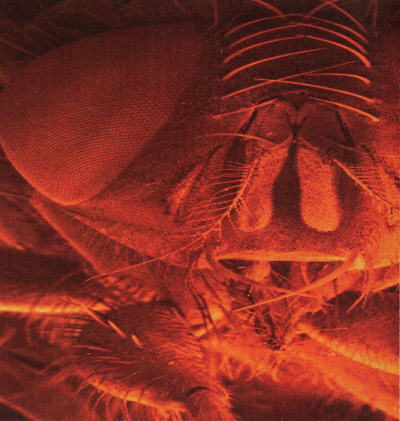 Jar Of Flies (ep) - Alice In Chains [CD]