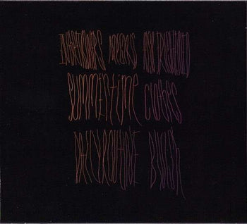Merriweather Post Pavilion - Animal Collective