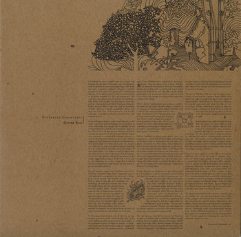 Wayfaring Strangers: Guitar Soli - Various