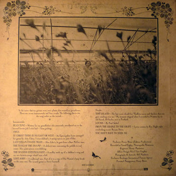 Greenhouse - Kottke, Leo