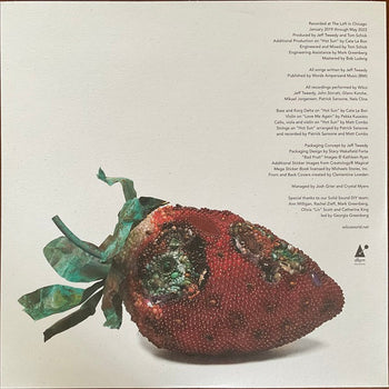 Hot Sun Cool Shroud - Wilco