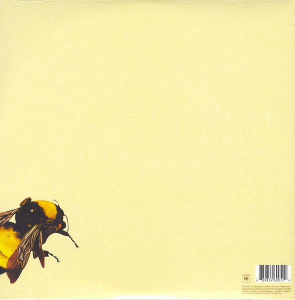 Flower Boy - Tyler, The Creator