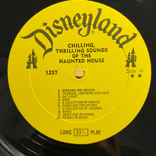 Chilling, Thrilling Sounds Of The Haunted House - No Artist