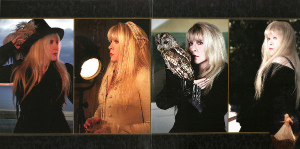 In Your Dreams - Nicks, Stevie