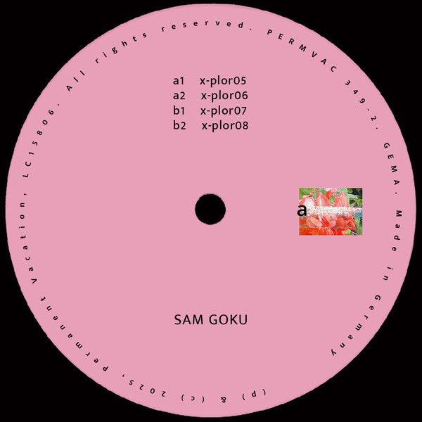 Explorations 02 - GOKU, SAM