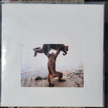 Dude Incredible - Shellac