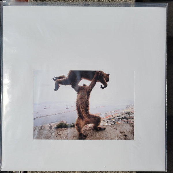 Dude Incredible - Shellac