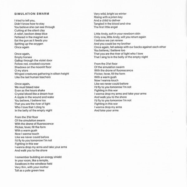 Dragon New Warm Mountain I Believe In You - Big Thief