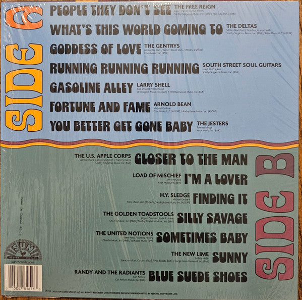 What's This World Coming To: Garage Rock - Various Artists