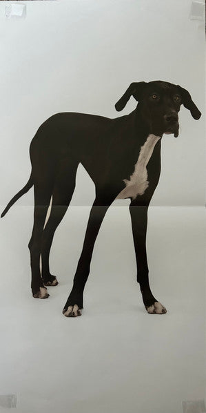 Supermodels - Claud