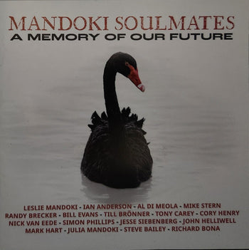 A Memory Of Our Future - Man Doki Soulmates