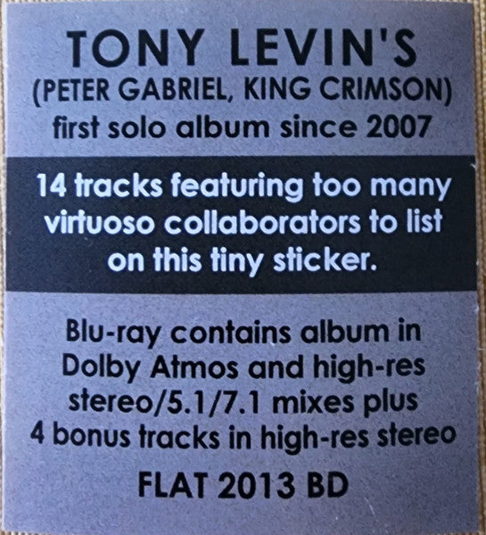 Bringing It Down to the Bass - Levin, Tony