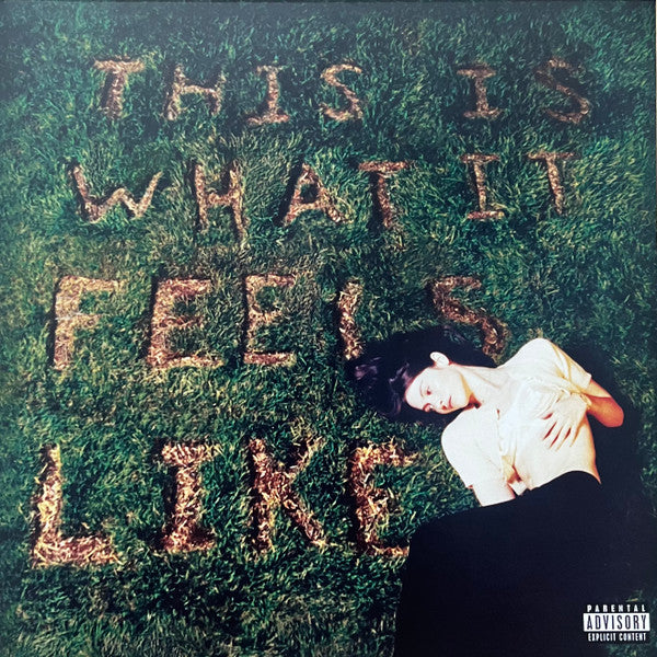This Is What It Feels Like - Abrams, Gracie