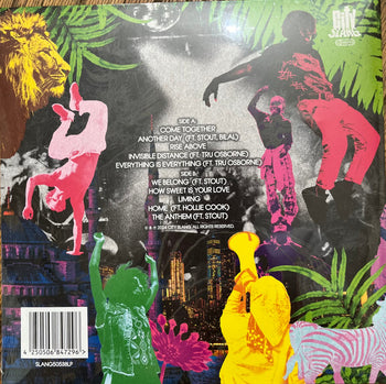 We Belong - Sinkane