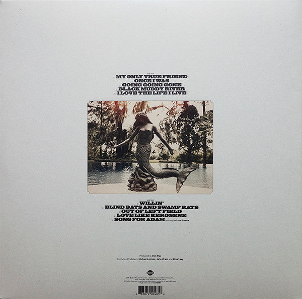 Southern Blood - Gregg Allman