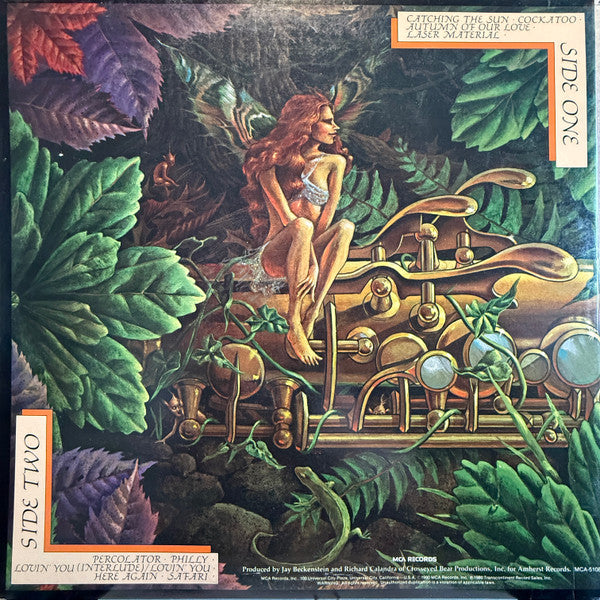 Catching The Sun - Spyro Gyra