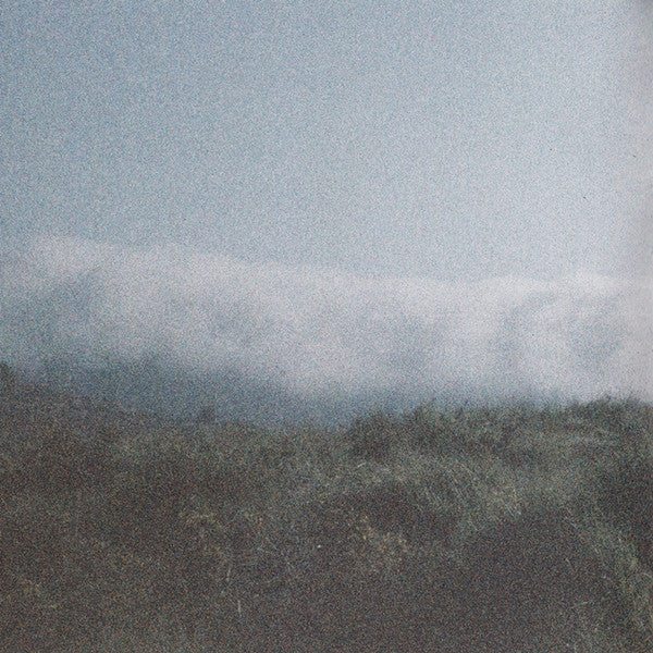 The Weight of the Woods - Kennedy, Dermot