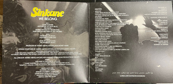 We Belong - Sinkane