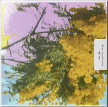 Into Dust (Still Falling) - Four Tet