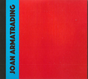 How Did This Happen And What Does It Now Mean - Armatrading, Joan