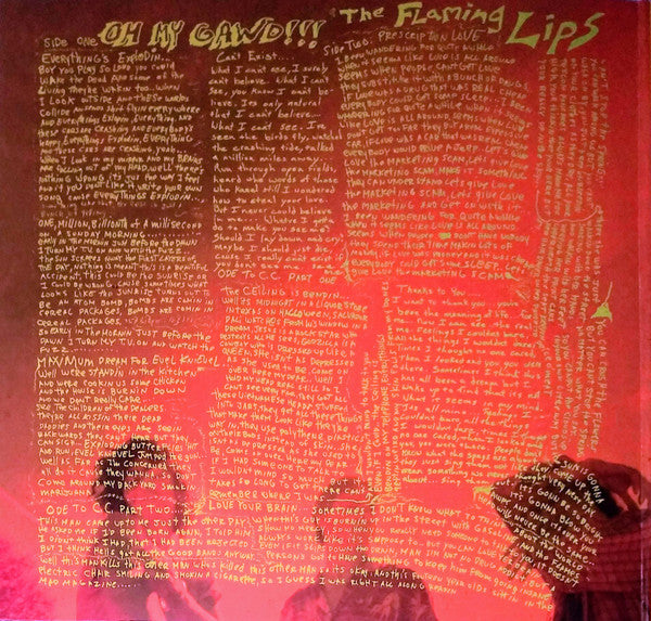 Oh My Gawd!!!... The Flaming Lips - Flaming Lips, The