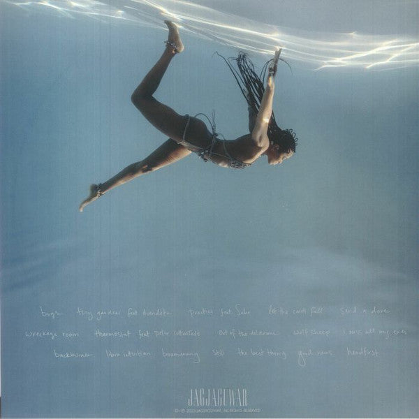 Water Made Us - Woods, Jamila