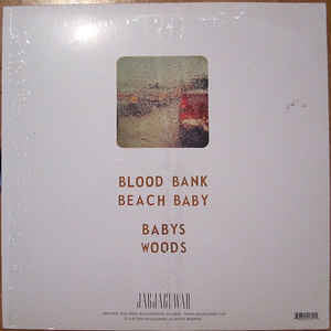 Blood Bank - Bon Iver