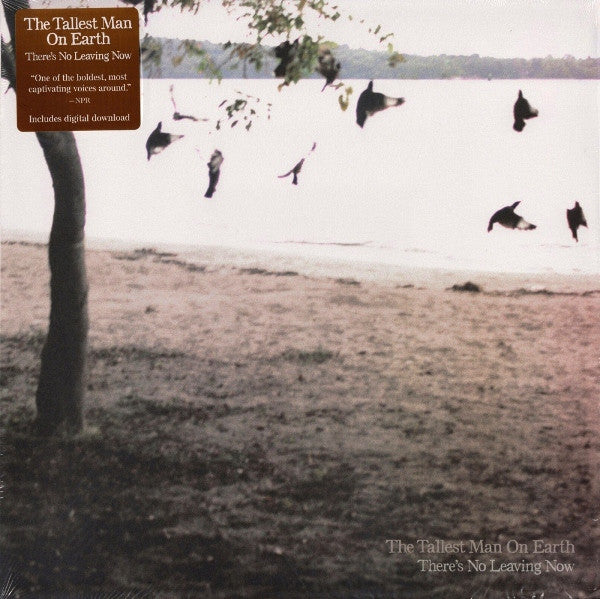There's No Leaving Now - Tallest Man On Earth, The