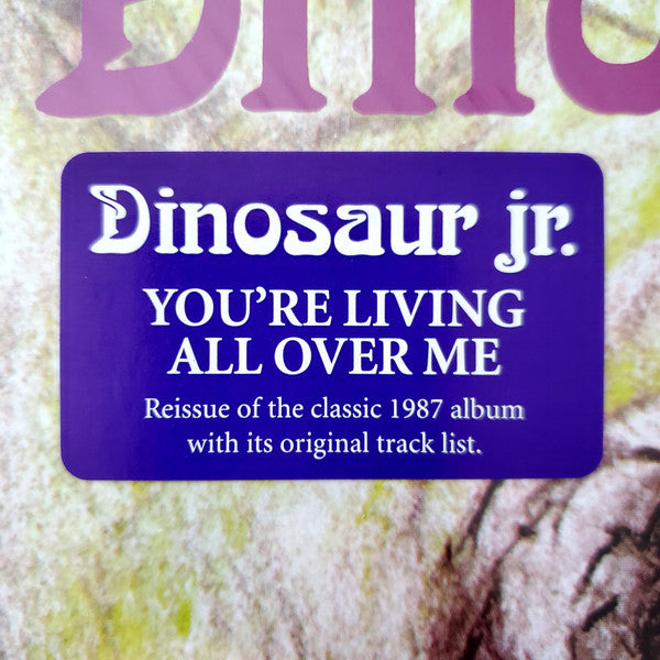 You'Re Living All Over Me - Dinosaur Jr.