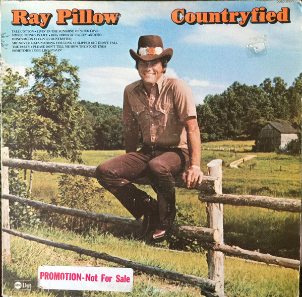 Countryfied - Pillow, Ray