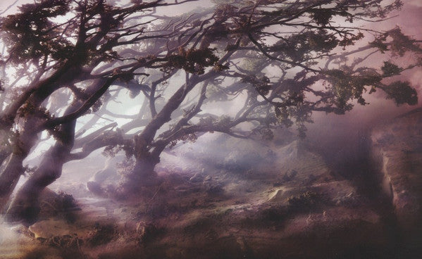 Divers - Newsom, Joanna