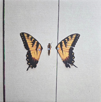 Brand New Eyes - Paramore