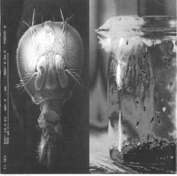 Jar Of Flies (ep) - Alice In Chains [CD]