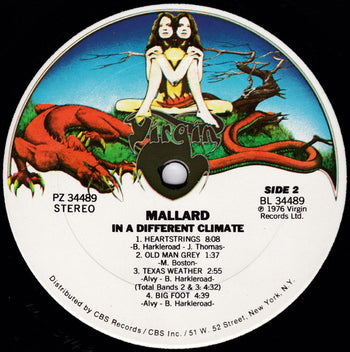 In A Different Climate - Mallard