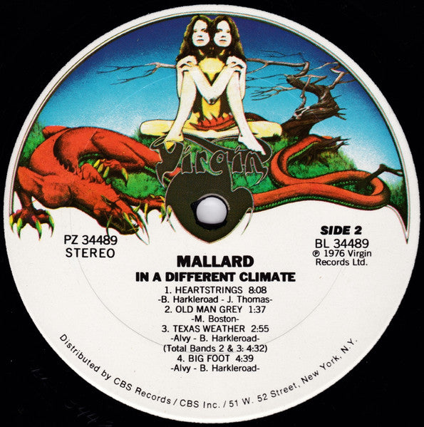In A Different Climate - Mallard